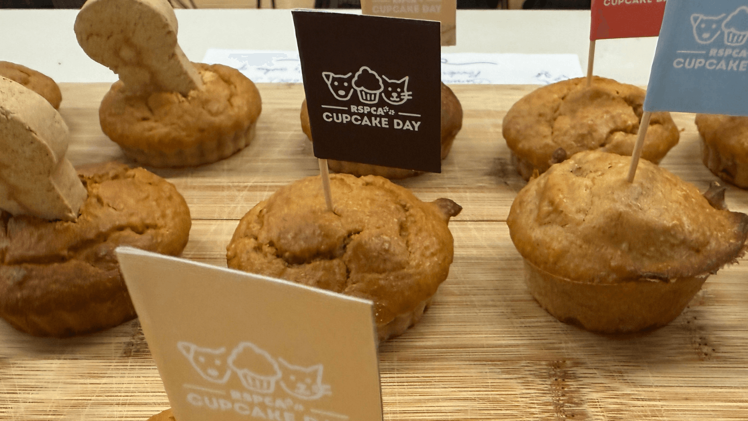 Image - Mixing Magic: RSPCA Cupcake Day at DNEG Sydney